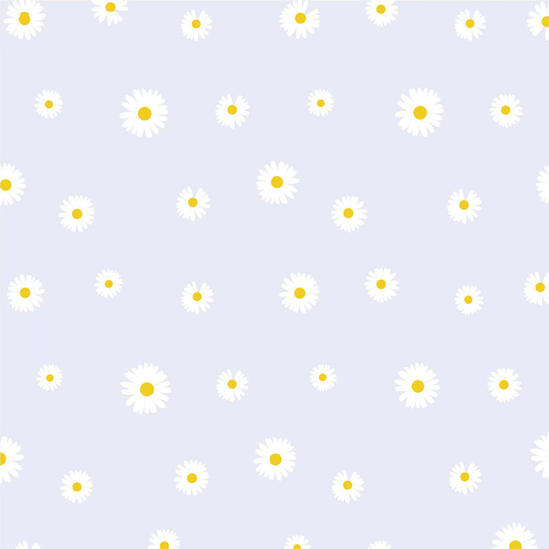 MYHC-18 Fresh Little Daisy Pearl Film Blomma omslagspapper
