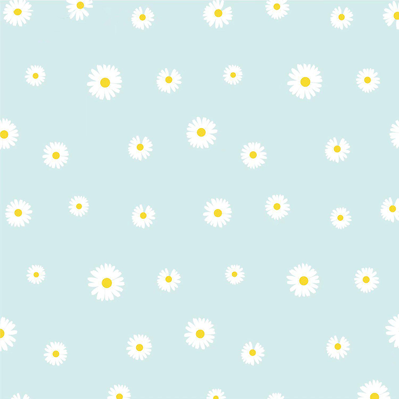 MYHC-18 Fresh Little Daisy Pearl Film Blomma omslagspapper