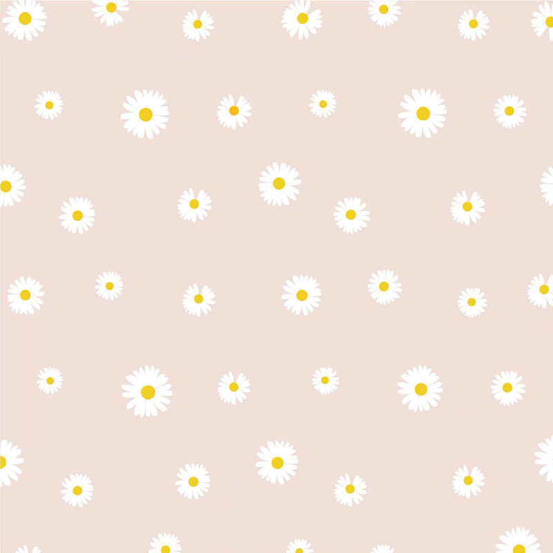 MYHC-18 Fresh Little Daisy Pearl Film Blomma omslagspapper