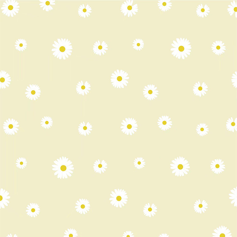 MYHC-18 Fresh Little Daisy Pearl Film Blomma omslagspapper