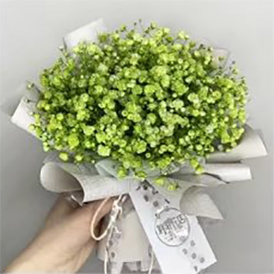 Simple Textured Bouquet Wrapping Paper